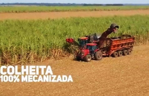 Grupo Barralcool tem processo agrícola 100% mecanizado