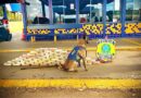 PRF apreende 70 kg de pasta base de cocaína na BR-364 em Rondonópolis